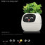 USB Auto Absorbent Planter Brand New PP Resin Plastic Round Eco-friendly Interactive - Korvel