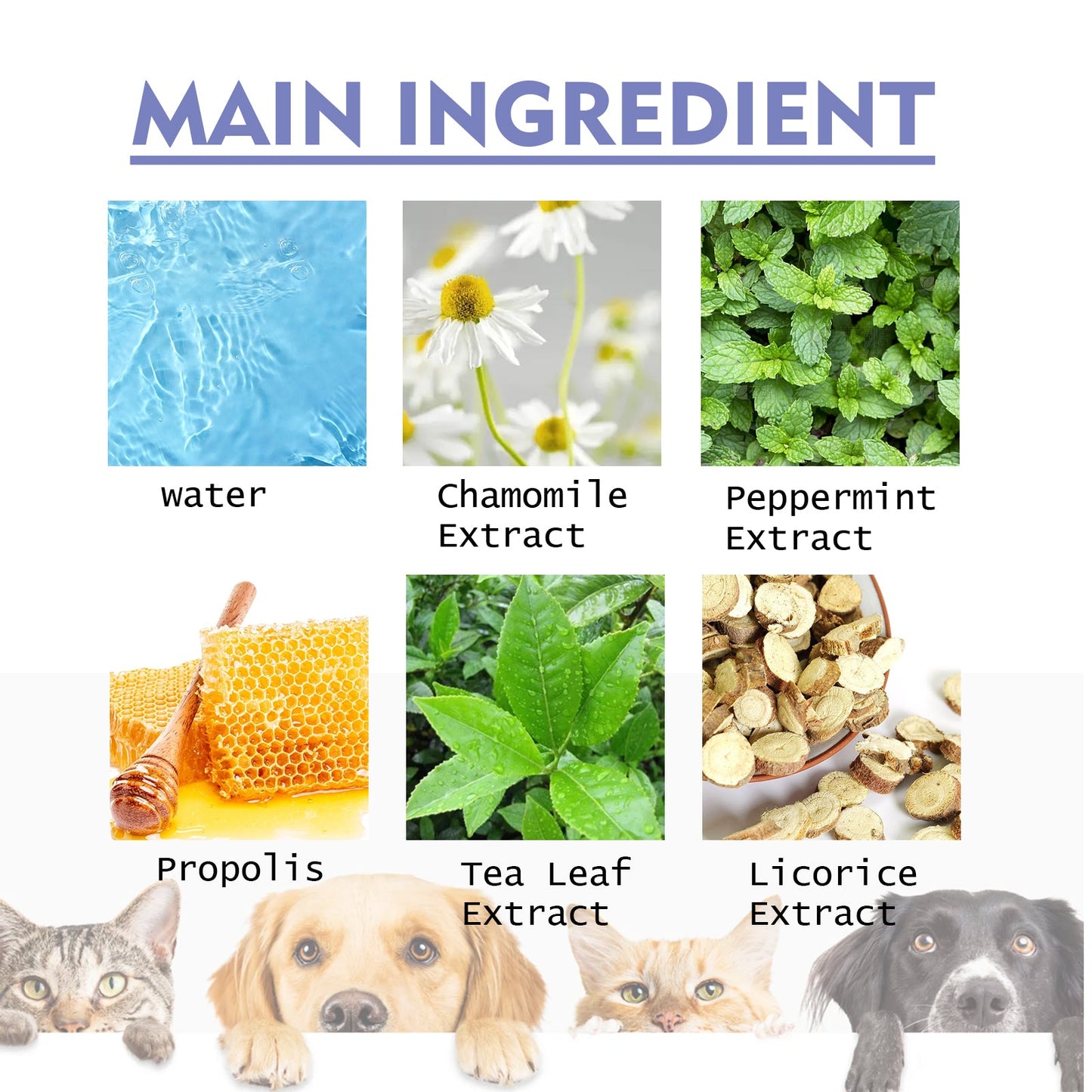 Dog And Cat Tooth Cleaning Spray, Pet Mouth Cleaning Breath Fresh Deodorizing Cleaning Spray - Korvel