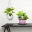 Disco Ball Hanging Flower Pot - Bohemian Style Planter
