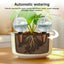 1-5PCS 500ML Plastic Automatic Plant Watering Bulbs, Globe - Shaped Self - Watering Drip Irrigation for Pots - Korvel