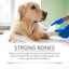 Dog Multi-Dimensional Fish Oil Tablet Pet Dog Hair Care Moisturize Skin Care Pet Health - Korvel
