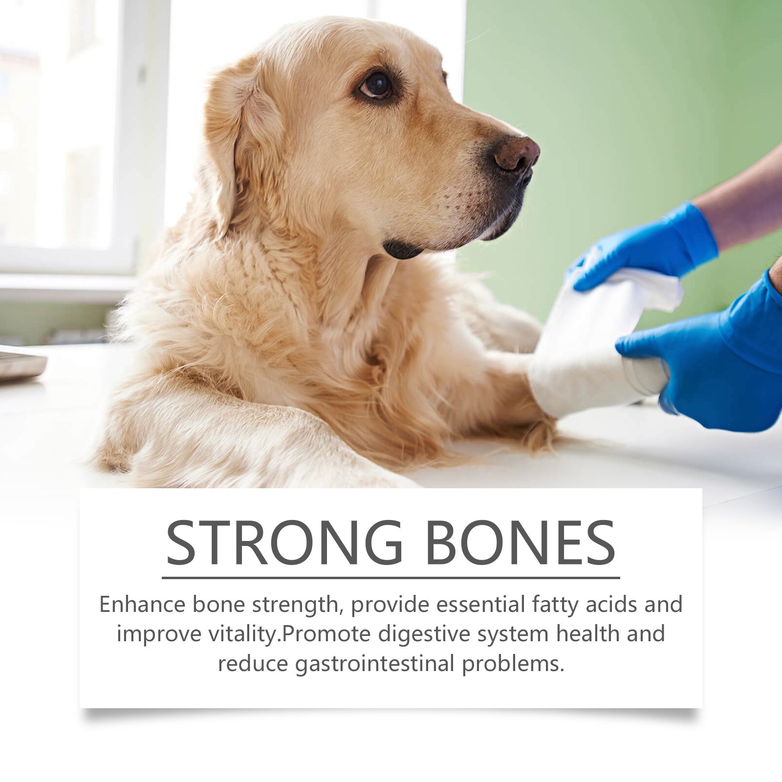 Dog Multi-Dimensional Fish Oil Tablet Pet Dog Hair Care Moisturize Skin Care Pet Health - Korvel