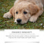 Premium Immune Support Supplement for Dogs