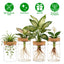 Ensemble de 4 stations de propagation en verre pour plantes d'intérieur