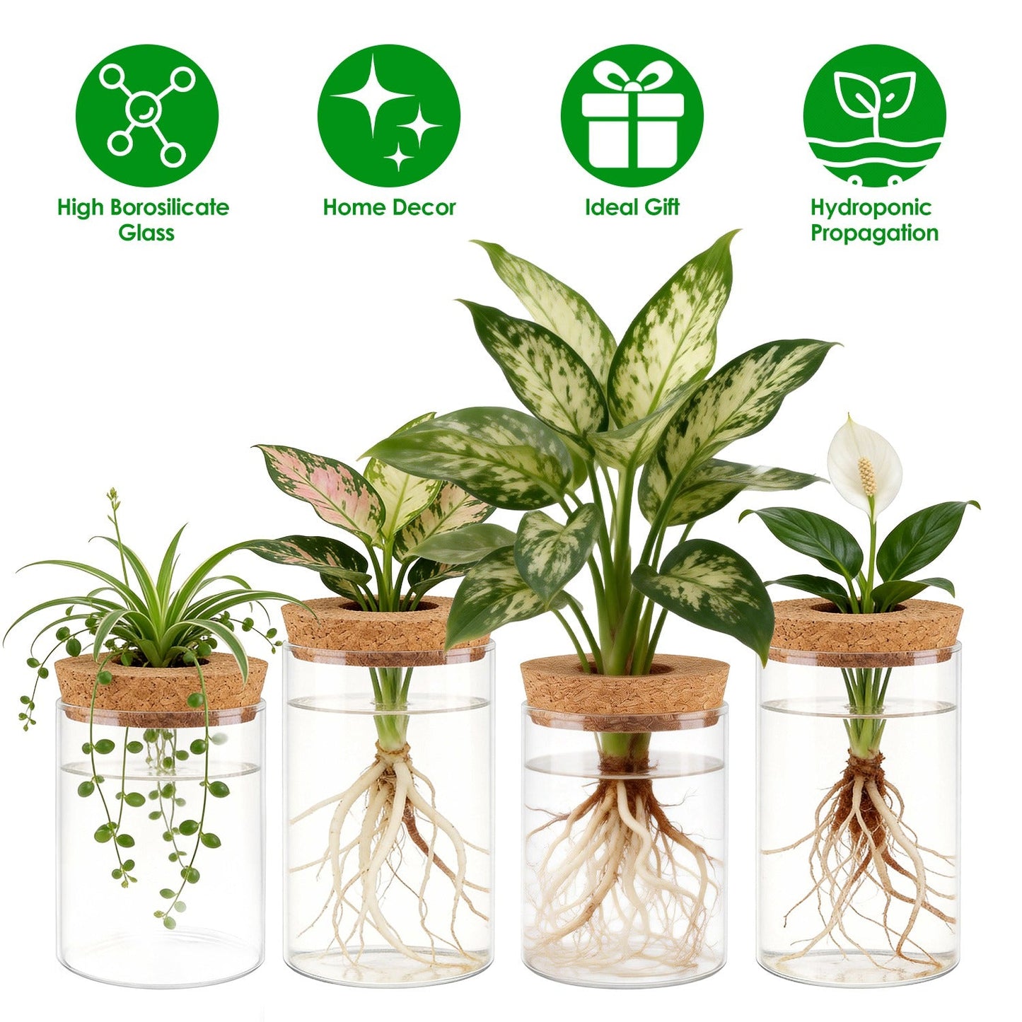 Ensemble de 4 stations de propagation en verre pour plantes d'intérieur