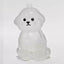 A transparent DIY pet hair memorial keychain box, a sweet keepsake for dog lovers. - Korvel