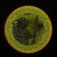 Particle Glow Proton Virus - PDGA Champions Cup 2025