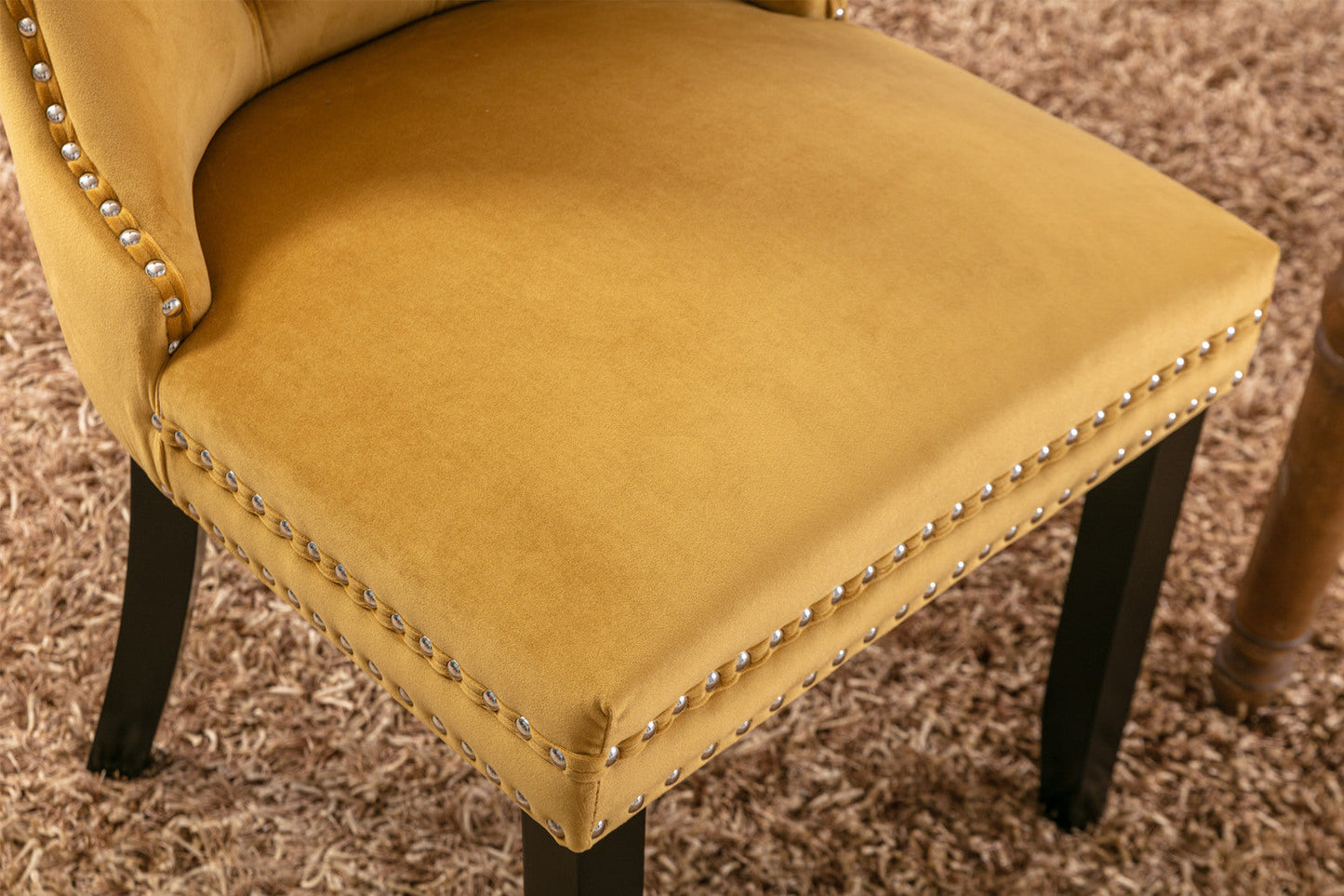 Ensemble de chaises de salle à manger en velours premium - Collection Nikki