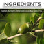Jojoba Oil, Smooth Treatment Repair Frizz And Moisturize Skin Essence - Korvel