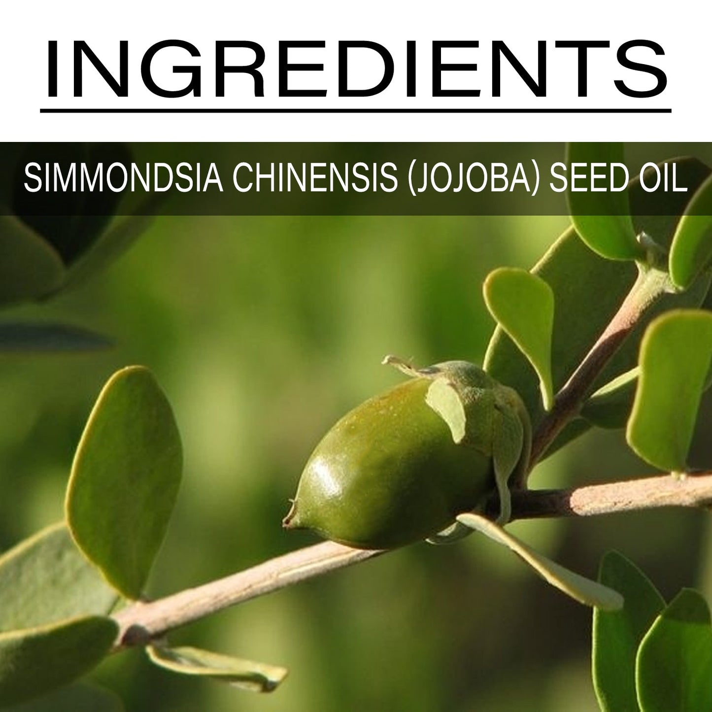 Jojoba Oil, Smooth Treatment Repair Frizz And Moisturize Skin Essence - Korvel