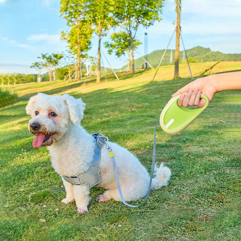 3m Pet Leash For Small Dogs Cat Automatic Retractable Nylon Durable Walking Lead Puppy Outdoor Travel Pet Products 1pcs - Korvel