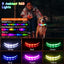 Collar para Perros GBruno con Luz LED