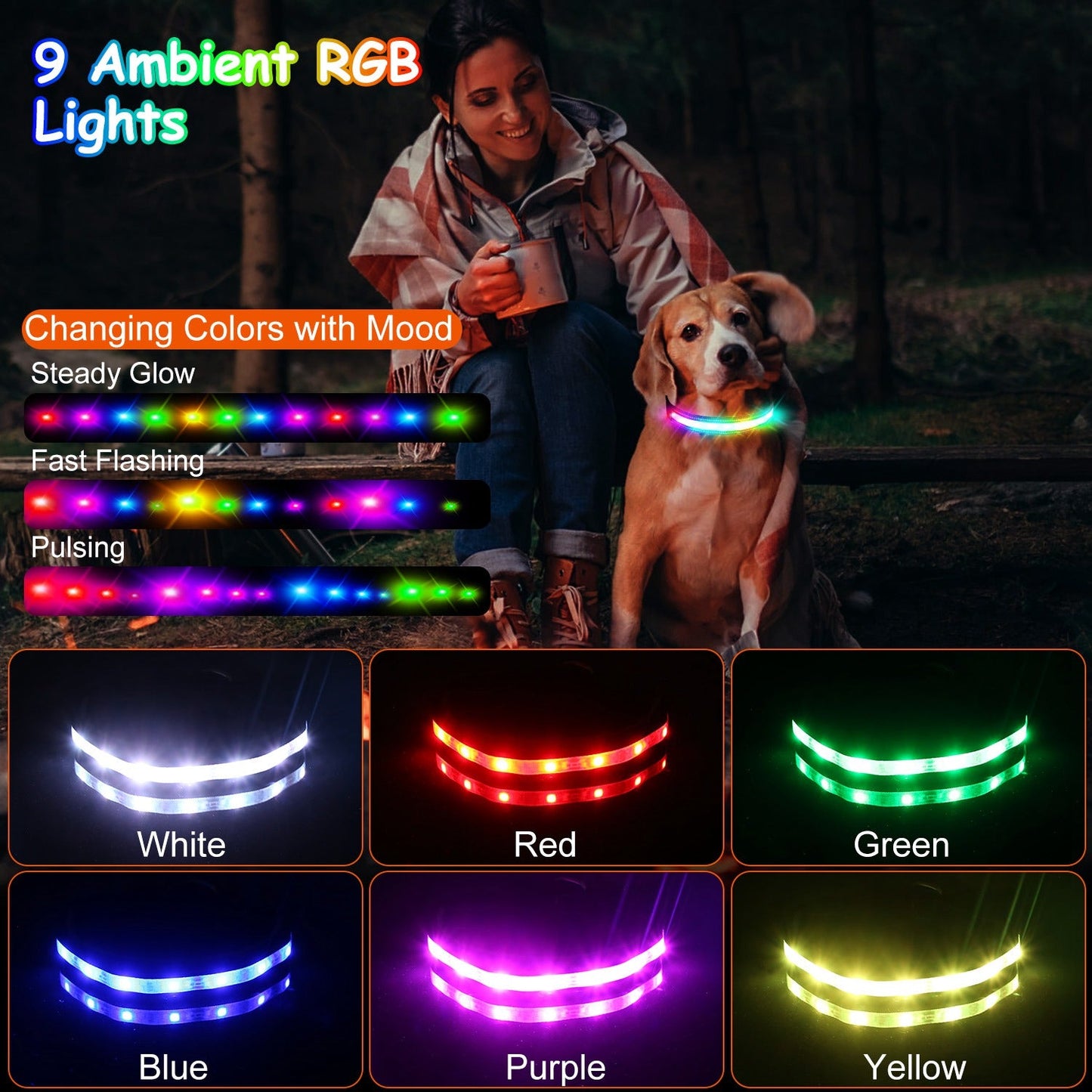 Collar para Perros GBruno con Luz LED