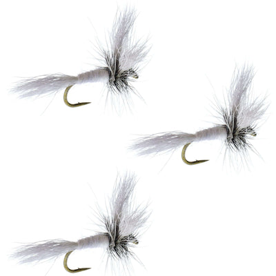 Pack de 3 mouches sèches barbless White Wulff Classic Hair Wing - Taille 12