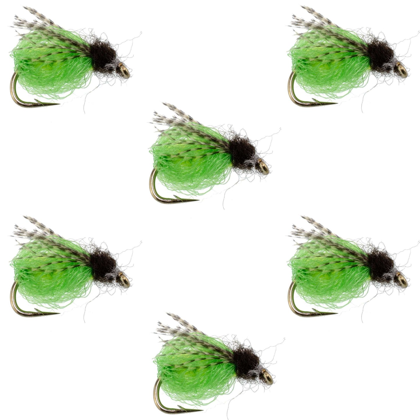 LaFontaine Caddis Pupa Brillante Verde Profundo con Brillo - 6 Moscas Tamaño de Gancho 14