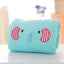Animated Plush Nap Pillow & Hand Warmer for Kids