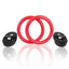 2Pcs High Quality Heavy Duty ABS Plastic 28mm Exercise Fitness Gymnastic Rings With Foam Handle Gym Exercise Crossfit Pull Ups A - Korvel
