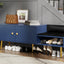 Modern Navy Shoe Storage Bench with Hidden Storage & Cushions