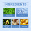 Mint Refreshing Foot Cream Hydrates And Restores Dry And Rough Skin With A Refreshing And Soothing Foot Cream - Korvel