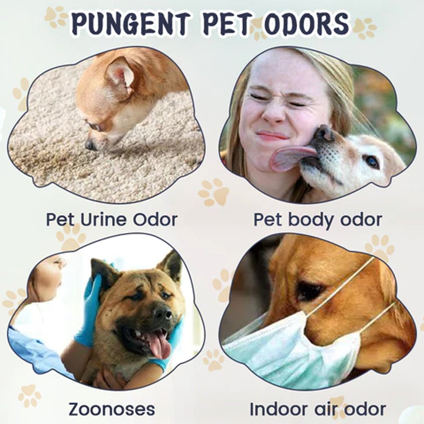 Spray Éliminateur d'Odor et de Taches pour Animaux de Compagnie Premium