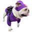 Trendy Pet Hoodie Set for Stylish Dogs