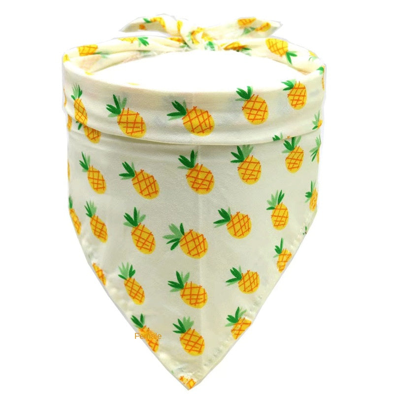 Bandana pour chien en coton premium style fruit