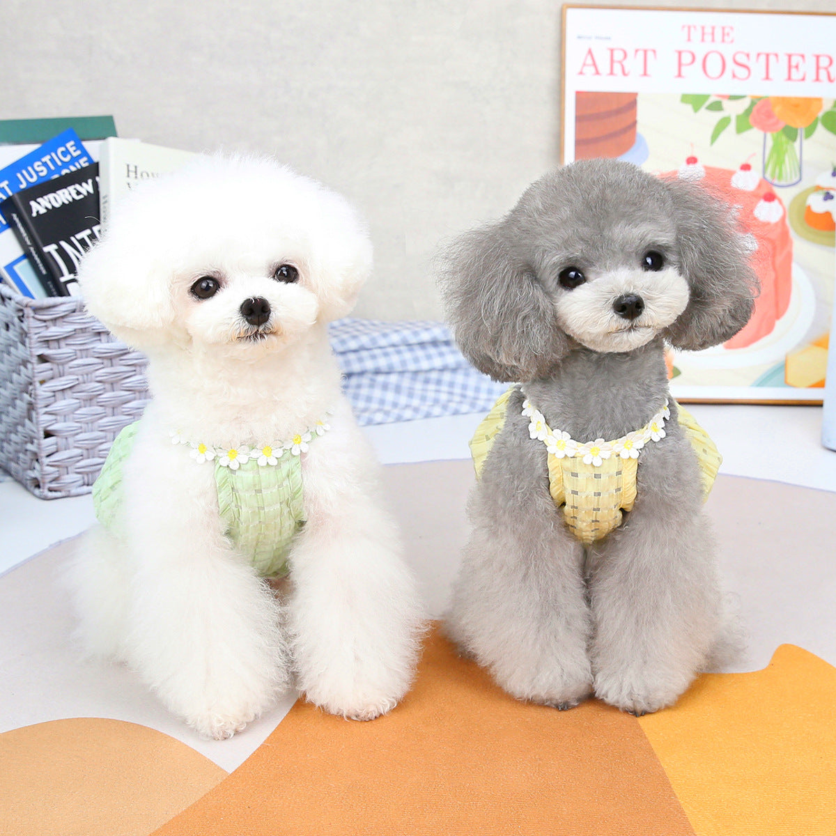 Jupe Lantern Charmante pour Petits Chiens