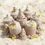 Outdoor family sand hopper with overflow – for beach sand play & garden irrigation. - Korvel