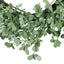 27" OXALIS CORNICULATA WREATH - Korvel