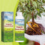 Premium Plant Growth Solution for Vibrant Greenery