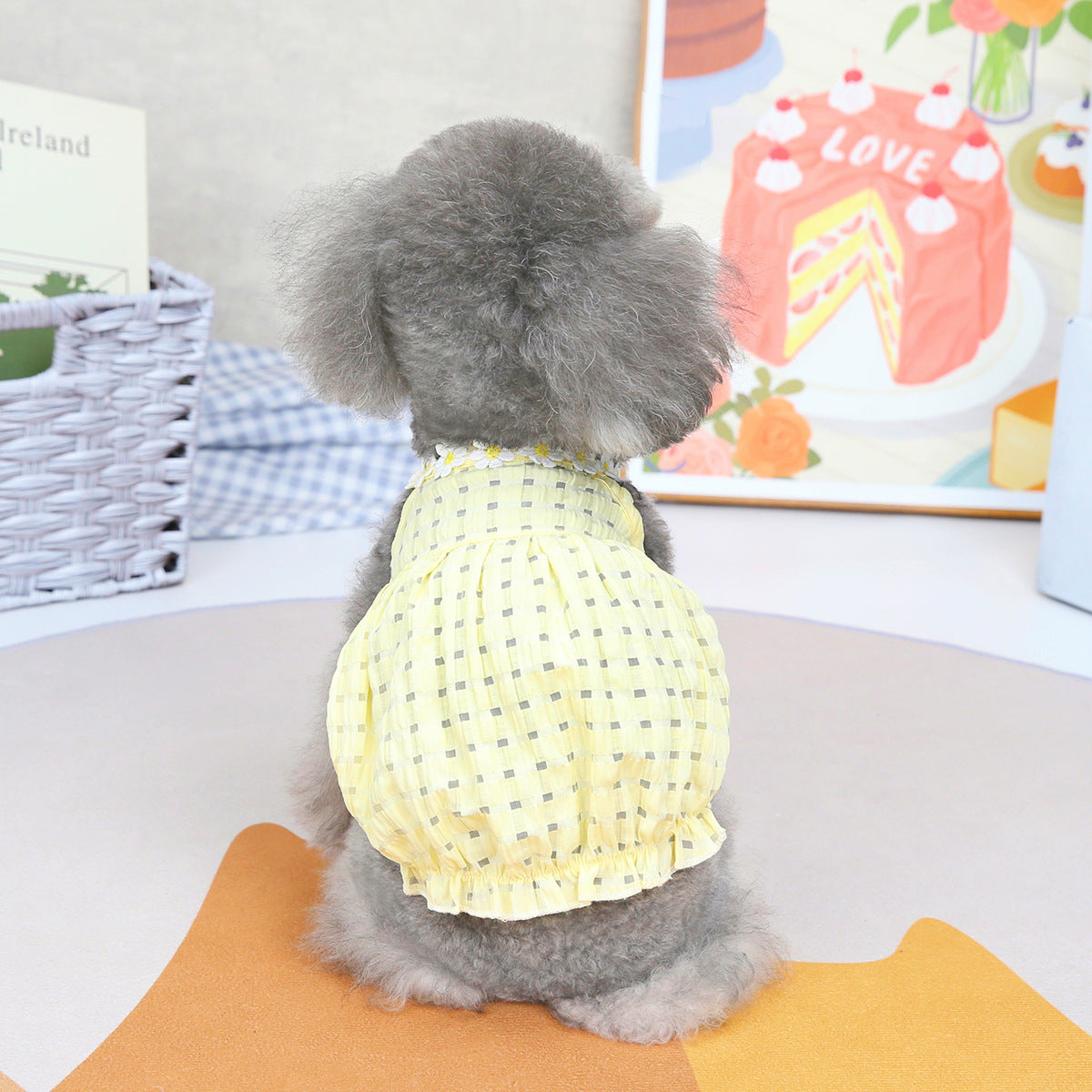 Pet Clothes Spring And Summer Dog Clothes Small Dog Clothes Pet - Korvel