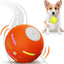 SmartRoll Pet Ball - Korvel