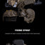 Housse de casque camouflage FAST SF Ultra-haut (Moyen)