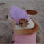 Pet Dog Outdoor Photography Leisure Sunshade Hat with Ear Holes Adjustable Corgi Baseball Cap - Korvel