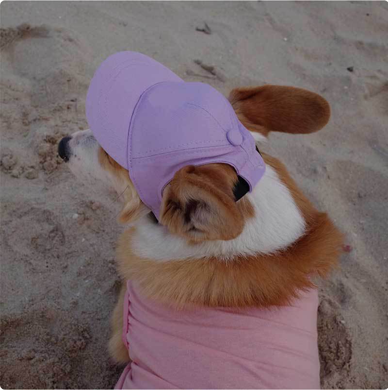 Pet Dog Outdoor Photography Leisure Sunshade Hat with Ear Holes Adjustable Corgi Baseball Cap - Korvel