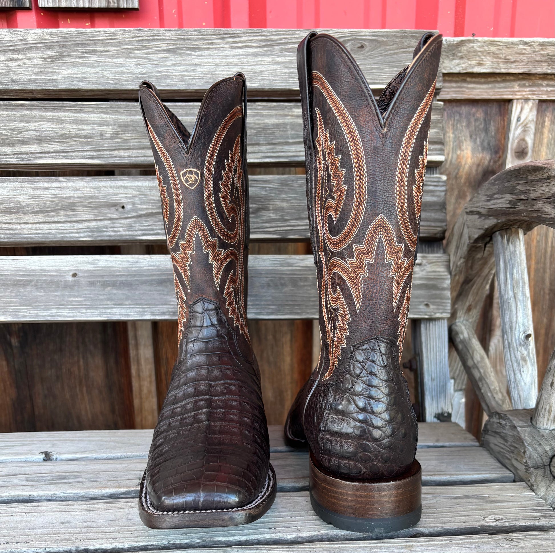 Premium Chocolate Caiman Belly Boots for Men | Ariat - Korvel