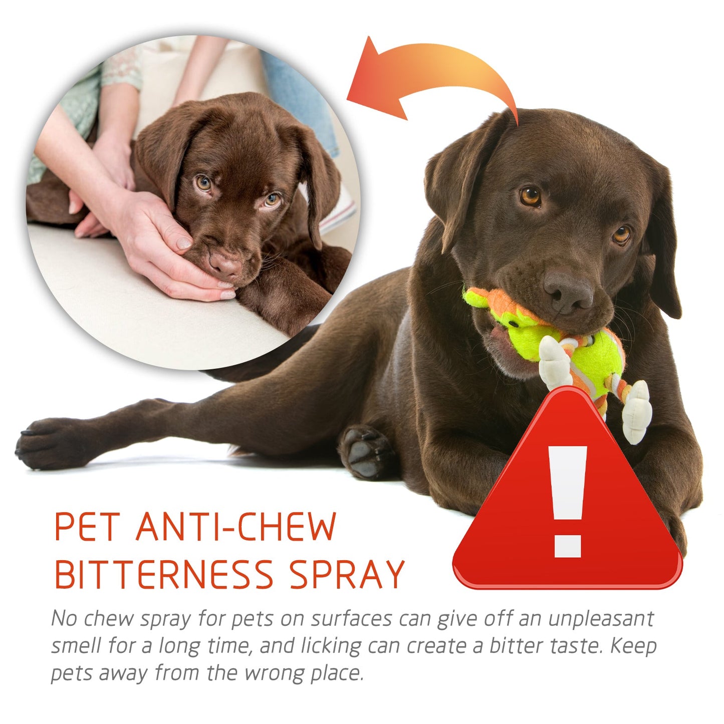 Pet Anti-Chew Spray Pet Behavior Modification Anti-Bite Scratching Spray For Cats And Dogs - Korvel
