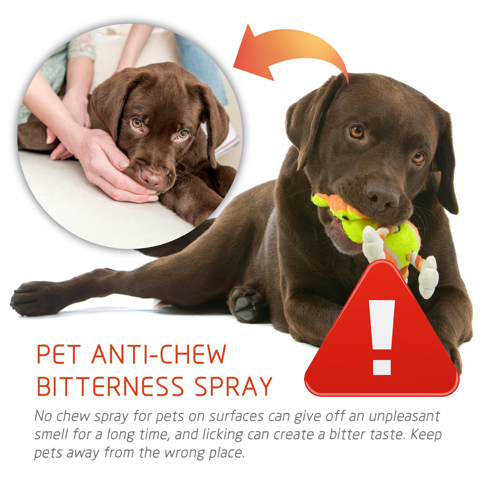 Pet Anti-Chew Spray Pet Behavior Modification Anti-Bite Scratching Spray For Cats And Dogs - Korvel