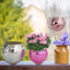 Disco Ball Planter Hanging Mirror - Spherical Decor
