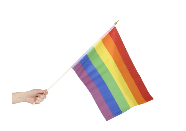 Bandera Arcoíris de 12" x 18" - Paquete de 3