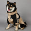 Khaki Large Dog Raincoat for Stylish Protection