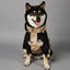 Khaki Large Dog Raincoat for Stylish Protection