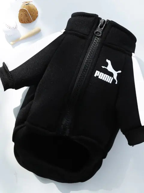 Hoodie de luxe pour chien d'hiver