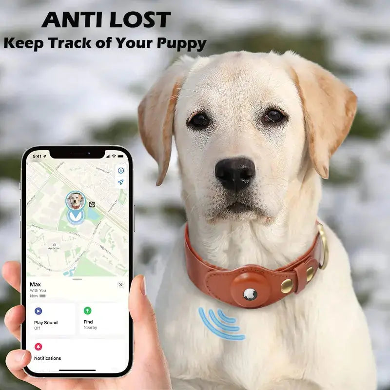 Premium Leather Anti-Lost Dog Collar with AirTag Holder