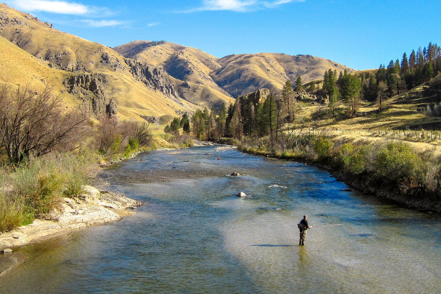 Ninfa con patas de goma Batman moradas y cabeza de cuentas - 12 moscas, anzuelo tamaño 10