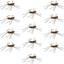 Premium Tungsten Bead Barbless Pat's Barred Rubber Legs Nymphs - Coffee/Tan - 12 Pack Size 6 - Korvel