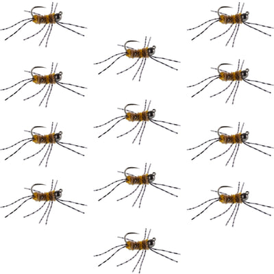Premium Tungsten Bead Barbless Pat's Barred Rubber Legs Nymphs - Coffee/Tan - 12 Pack Size 6 - Korvel