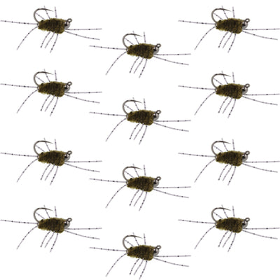Premium Tungsten Bead Barbless Pat's Barred Rubber Legs Euro Nymphs - 12 Pack Size 6 - Korvel