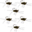 Premium Tungsten Bead Barbless Pat's Barred Rubber Legs Euro Nymphs - Set of 6 Size 6 Flies - Korvel