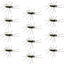 Barbless Pat's Barred Rubber Legs Tungsten Bead Jigged Black/Olive Euro Nymph  - Set of 12 Flies Hook Size 6 - Korvel